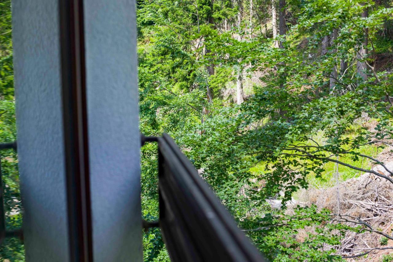 Forest Dream Apartment - Elit Pamporovo Esterno foto