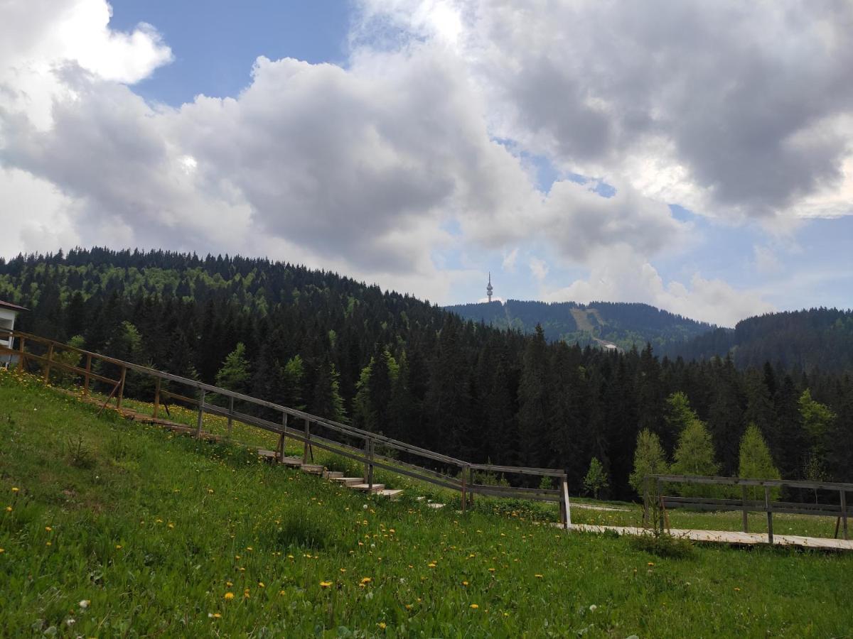 Forest Dream Apartment - Elit Pamporovo Esterno foto