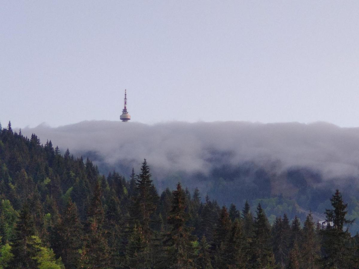 Forest Dream Apartment - Elit Pamporovo Esterno foto