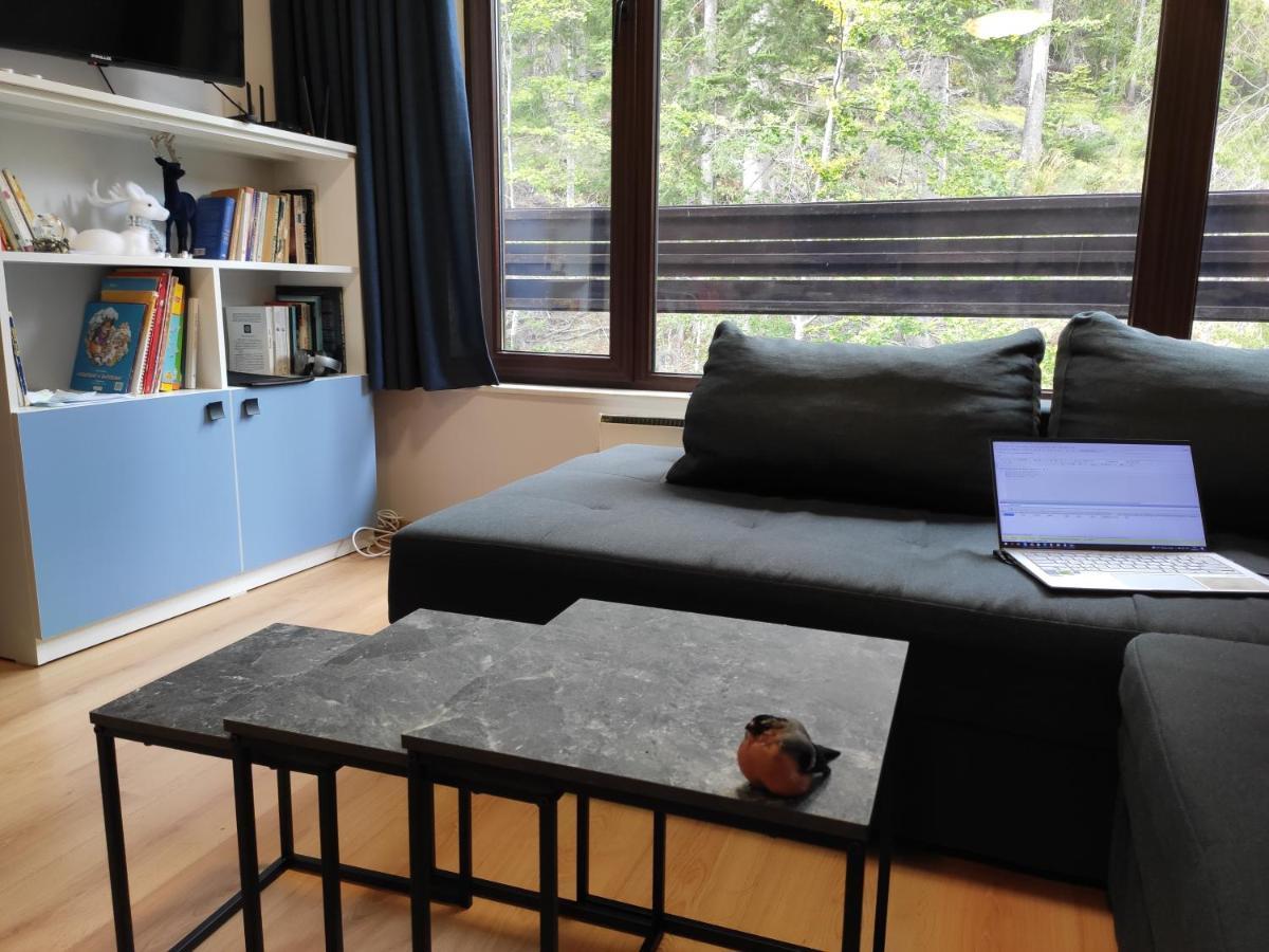 Forest Dream Apartment - Elit Pamporovo Esterno foto