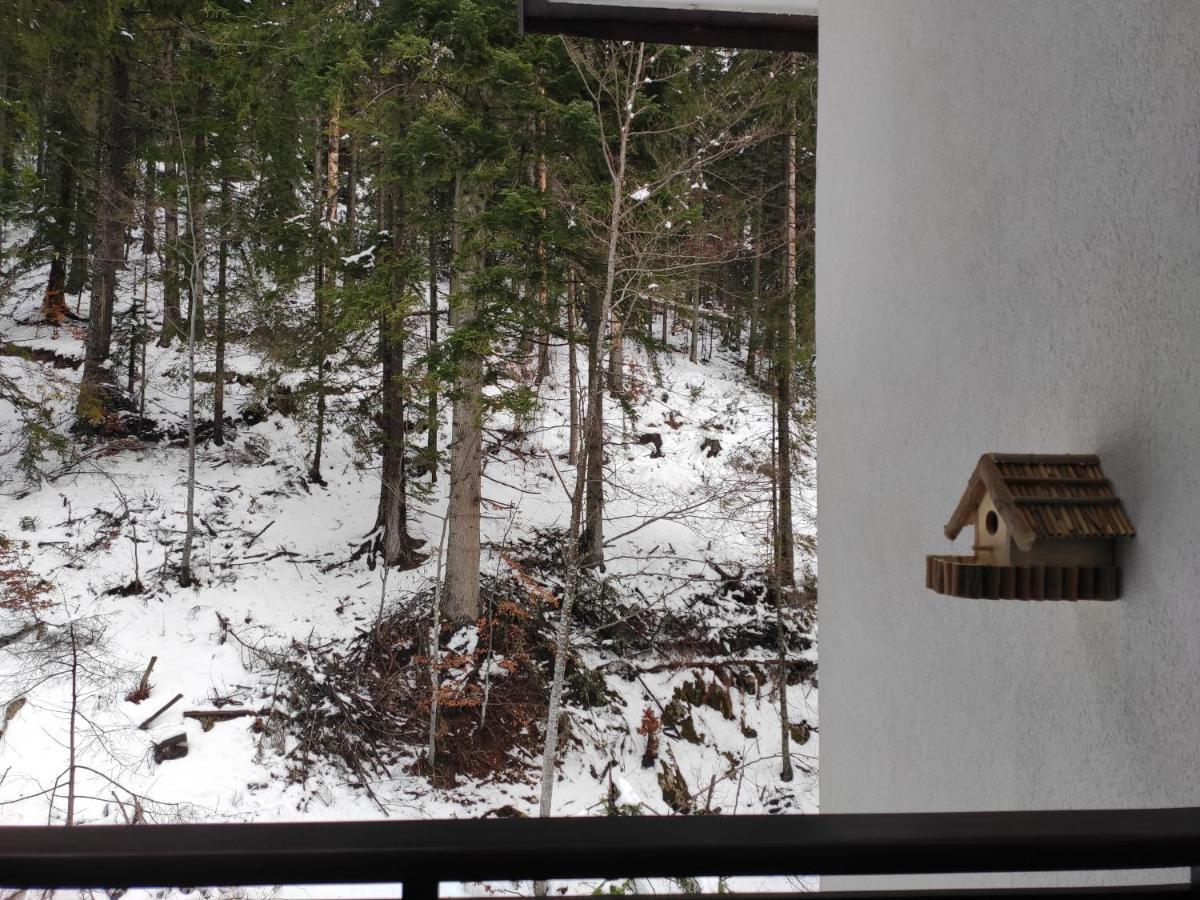 Forest Dream Apartment - Elit Pamporovo Esterno foto