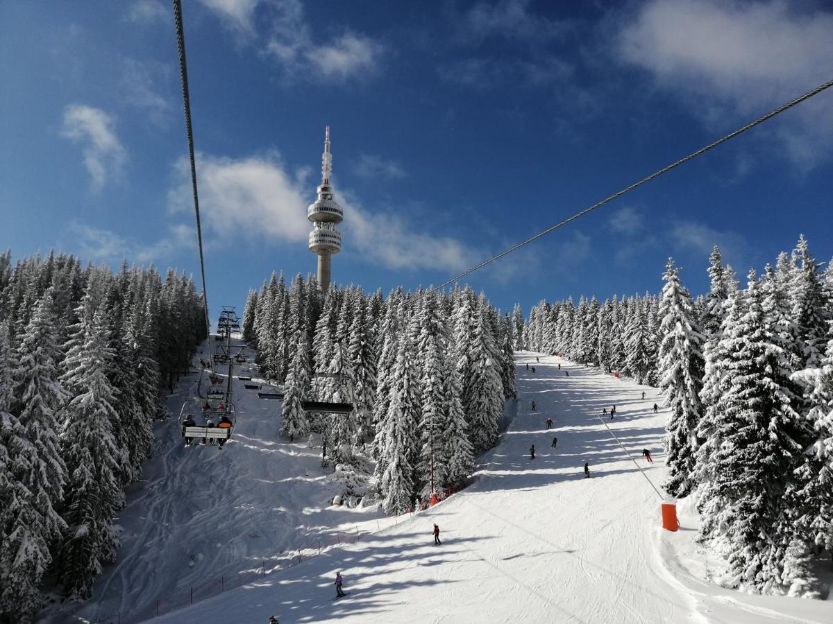 Forest Dream Apartment - Elit Pamporovo Esterno foto